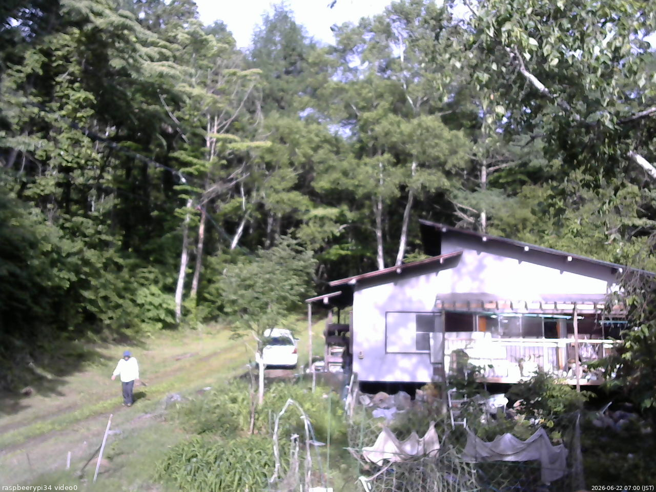 長野県菅平高原 ゆたか山荘 西側(坂上) 2026/06/22 07:00