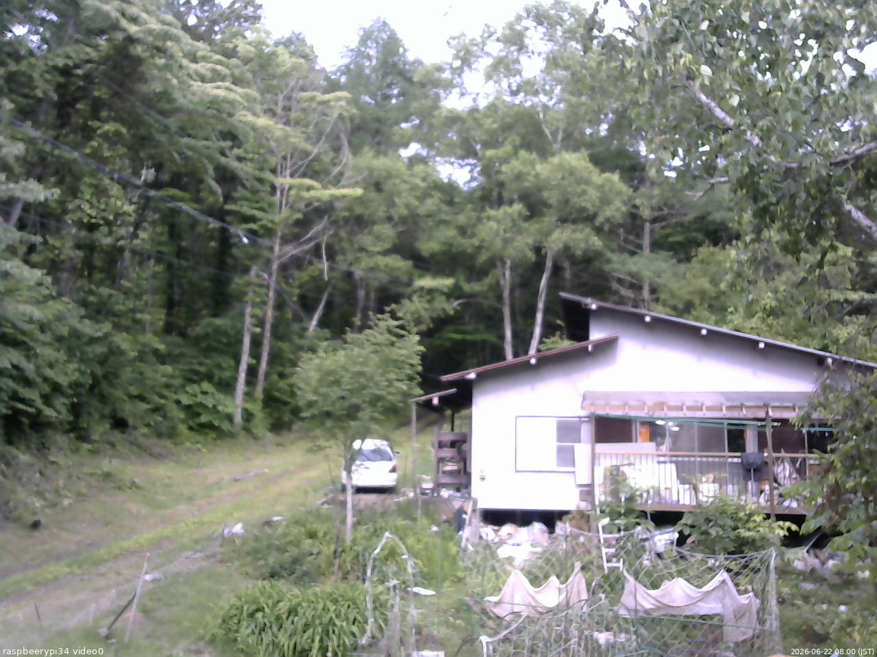 長野県菅平高原 ゆたか山荘 西側(坂上) 2026/06/22 08:00