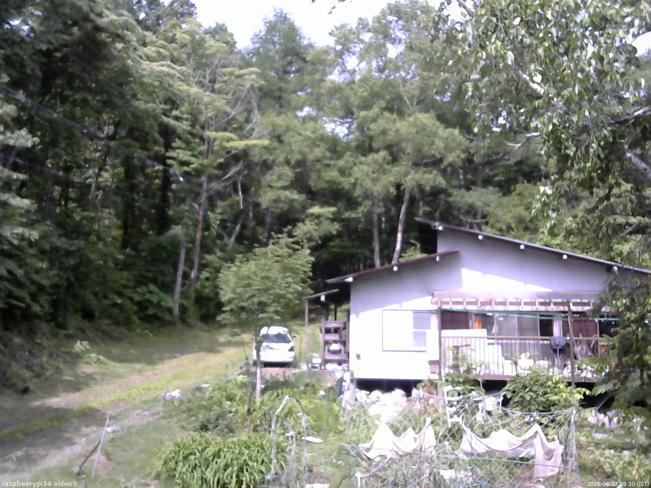長野県菅平高原 ゆたか山荘 西側(坂上) 2026/06/22 09:30
