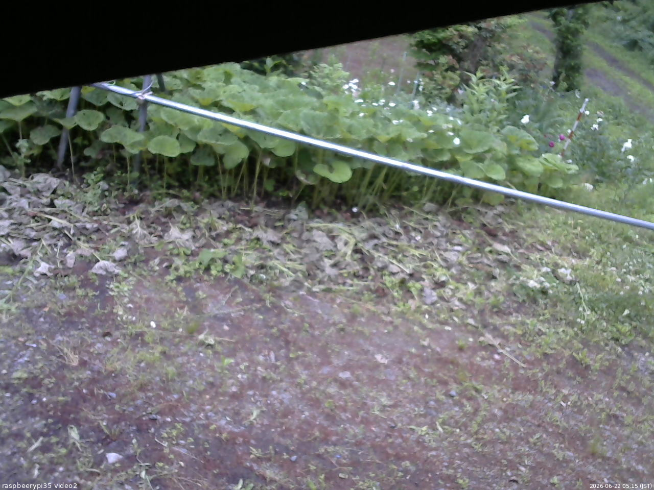 長野県菅平高原 ゆたか山荘 駐車場 2026/06/22 05:15