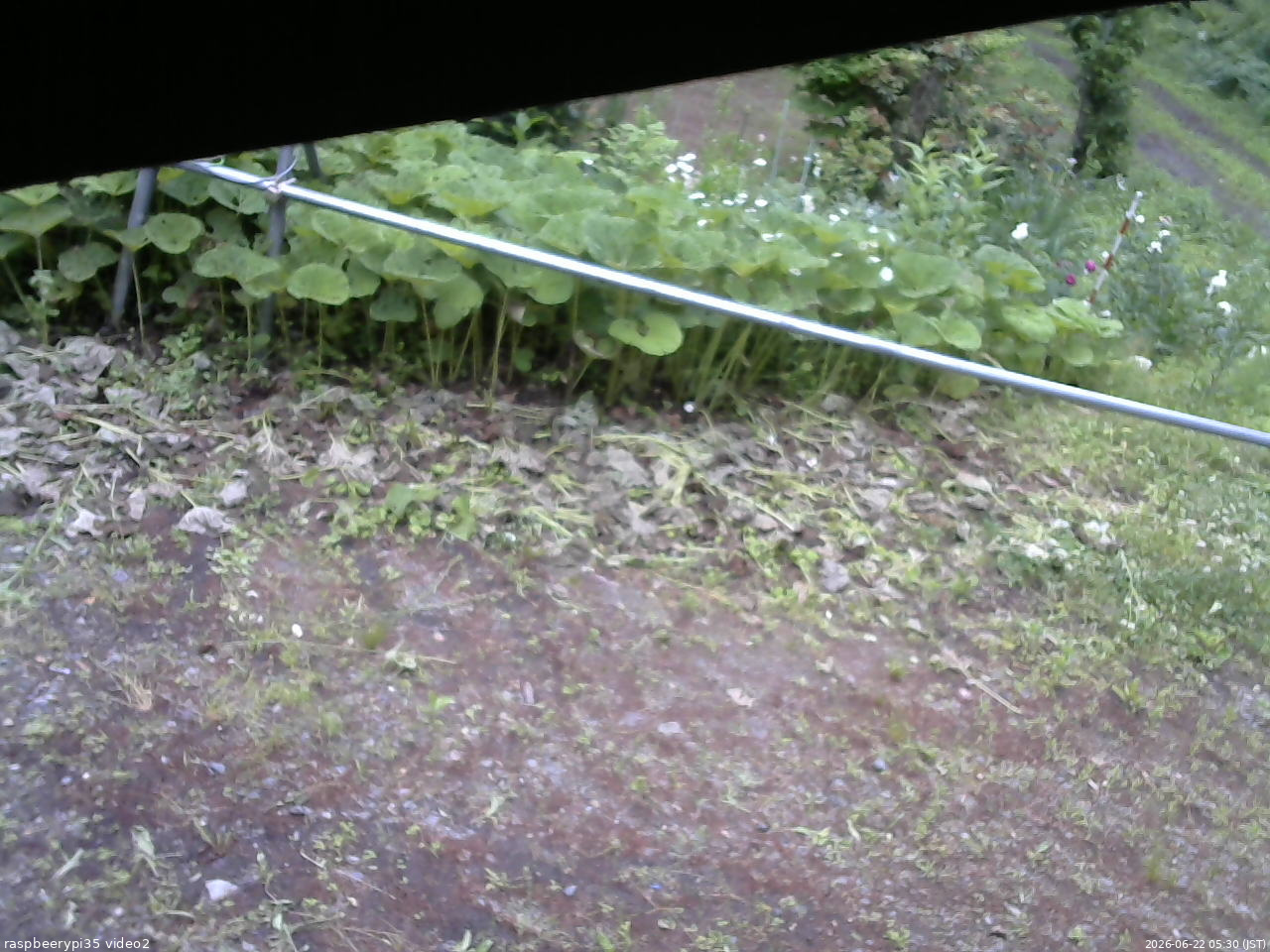 長野県菅平高原 ゆたか山荘 駐車場 2026/06/22 05:30