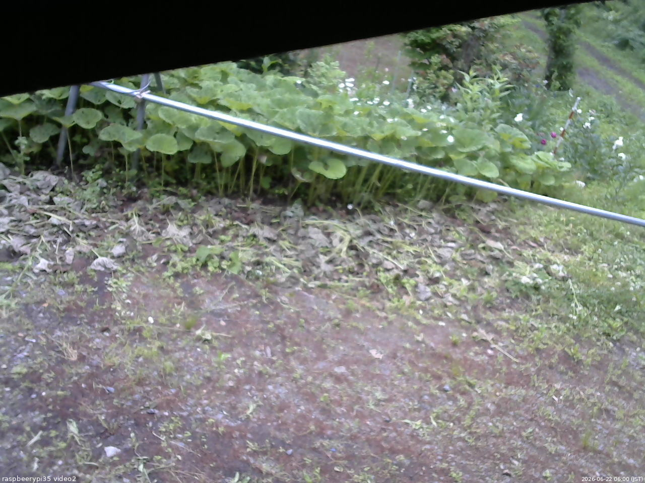 長野県菅平高原 ゆたか山荘 駐車場 2026/06/22 06:00