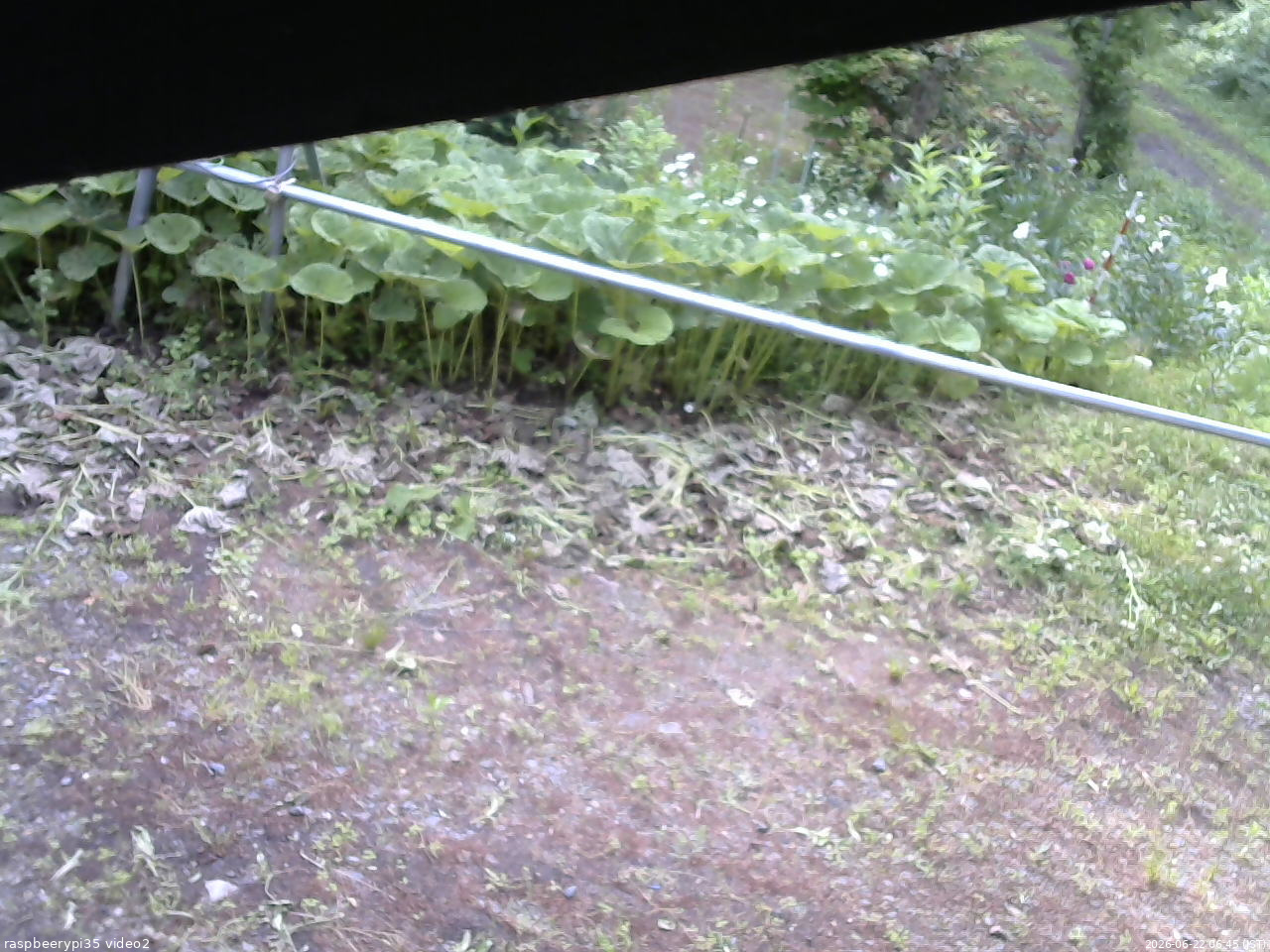 長野県菅平高原 ゆたか山荘 駐車場 2026/06/22 06:45