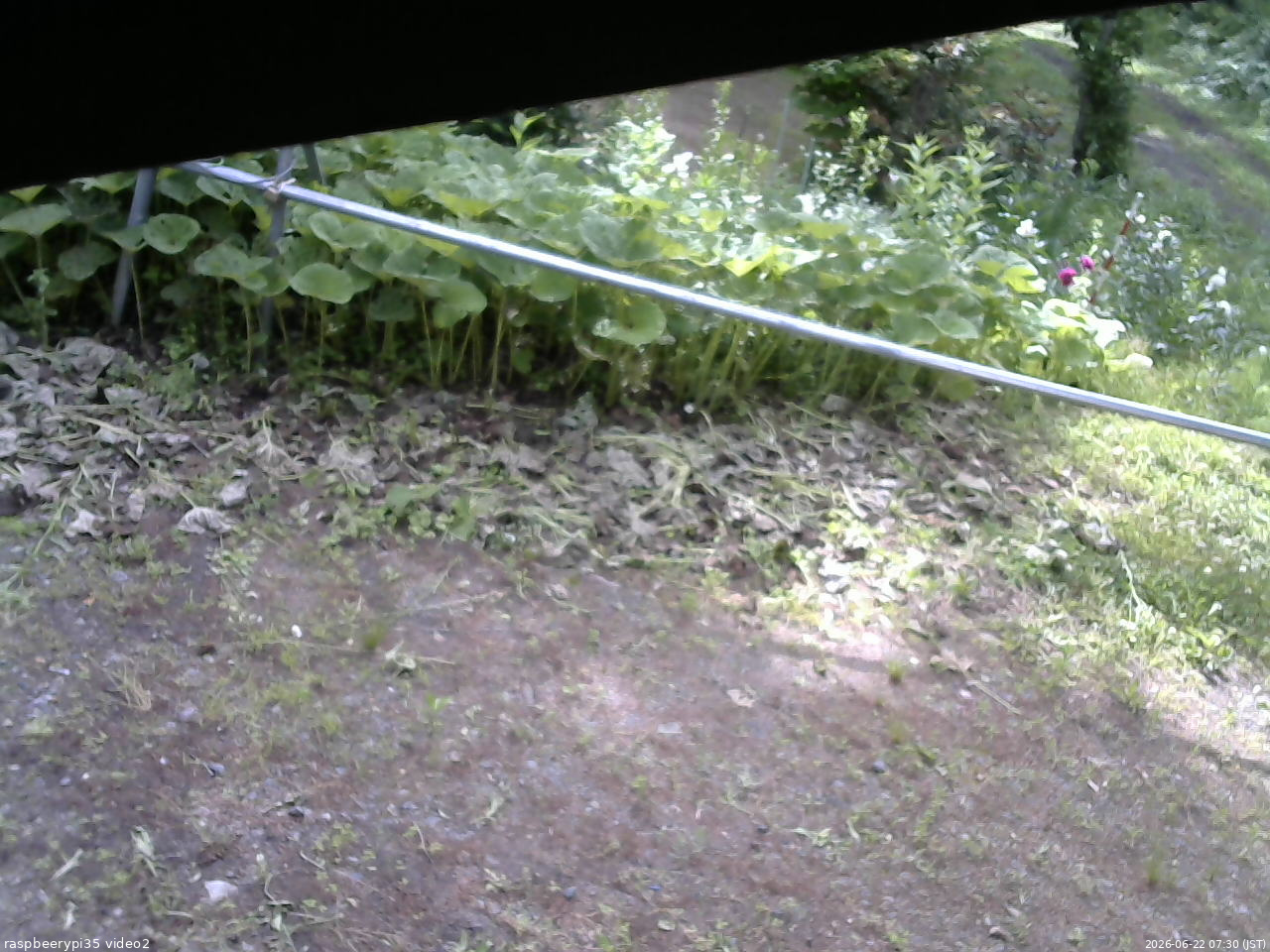 長野県菅平高原 ゆたか山荘 駐車場 2026/06/22 07:30