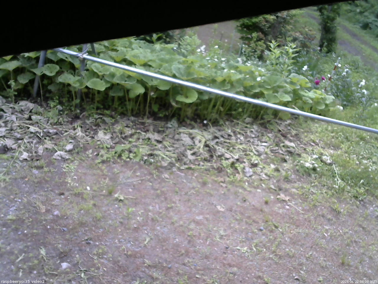 長野県菅平高原 ゆたか山荘 駐車場 2026/06/22 08:00