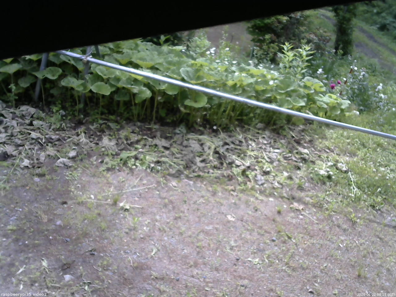 長野県菅平高原 ゆたか山荘 駐車場 2026/06/22 08:15