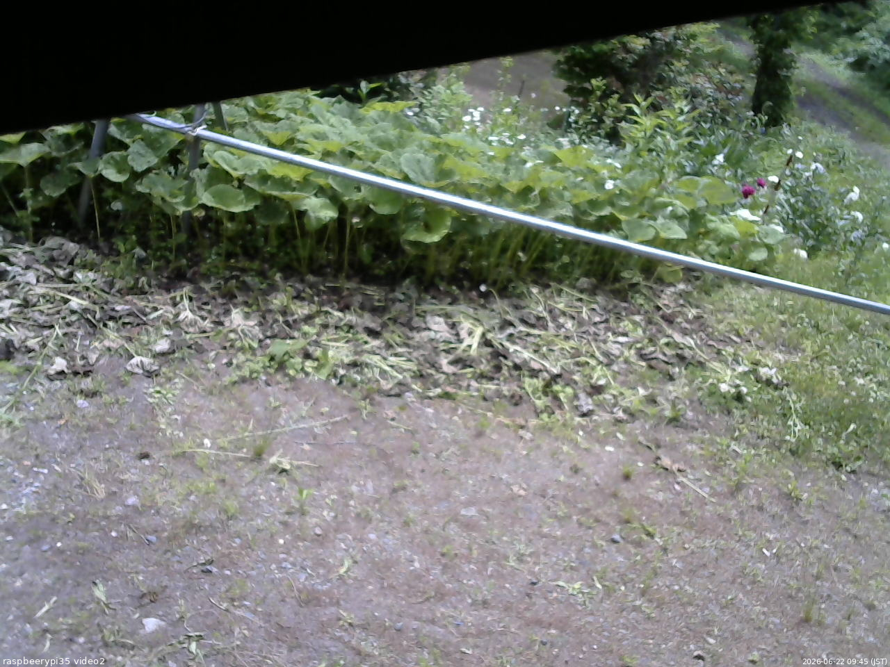 長野県菅平高原 ゆたか山荘 駐車場 2026/06/22 09:45