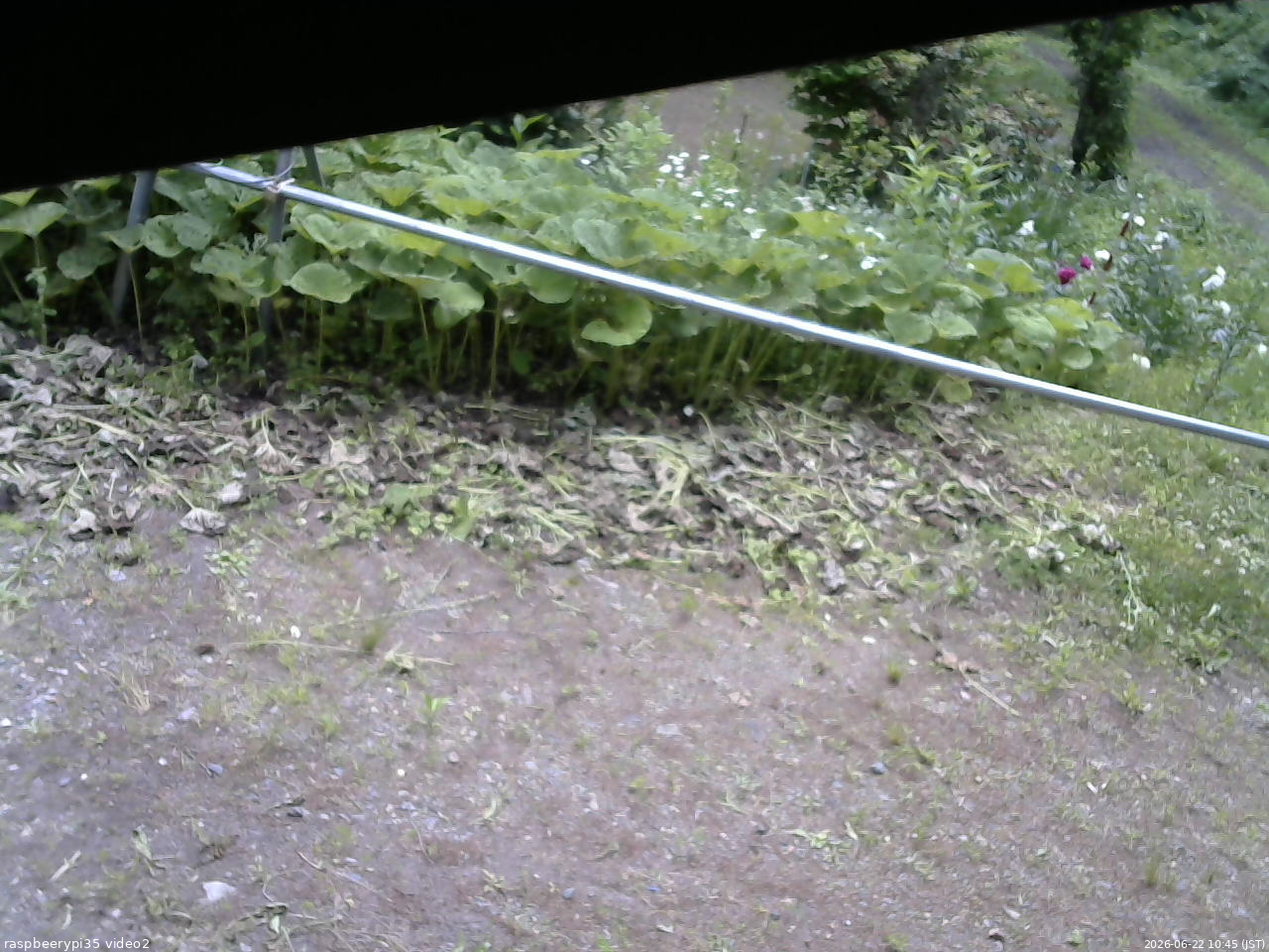 長野県菅平高原 ゆたか山荘 駐車場 2026/06/22 10:45