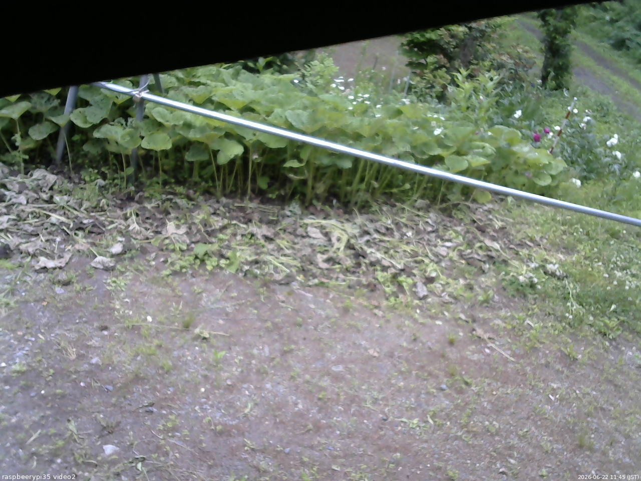 長野県菅平高原 ゆたか山荘 駐車場 2026/06/22 11:45