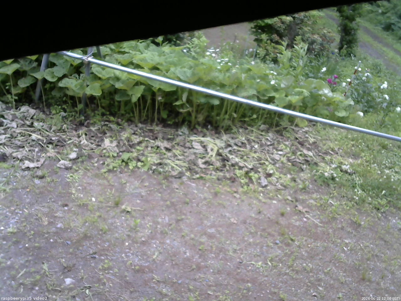 長野県菅平高原 ゆたか山荘 駐車場 2026/06/22 12:00