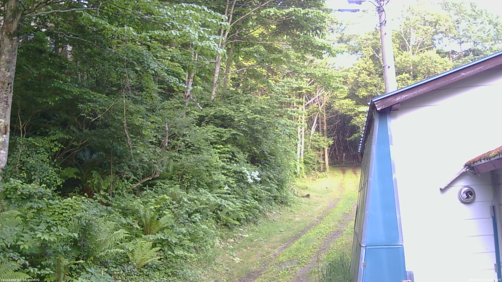 長野県菅平高原 ゆたか山荘 ゆたか山荘 2026/06/22 05:15