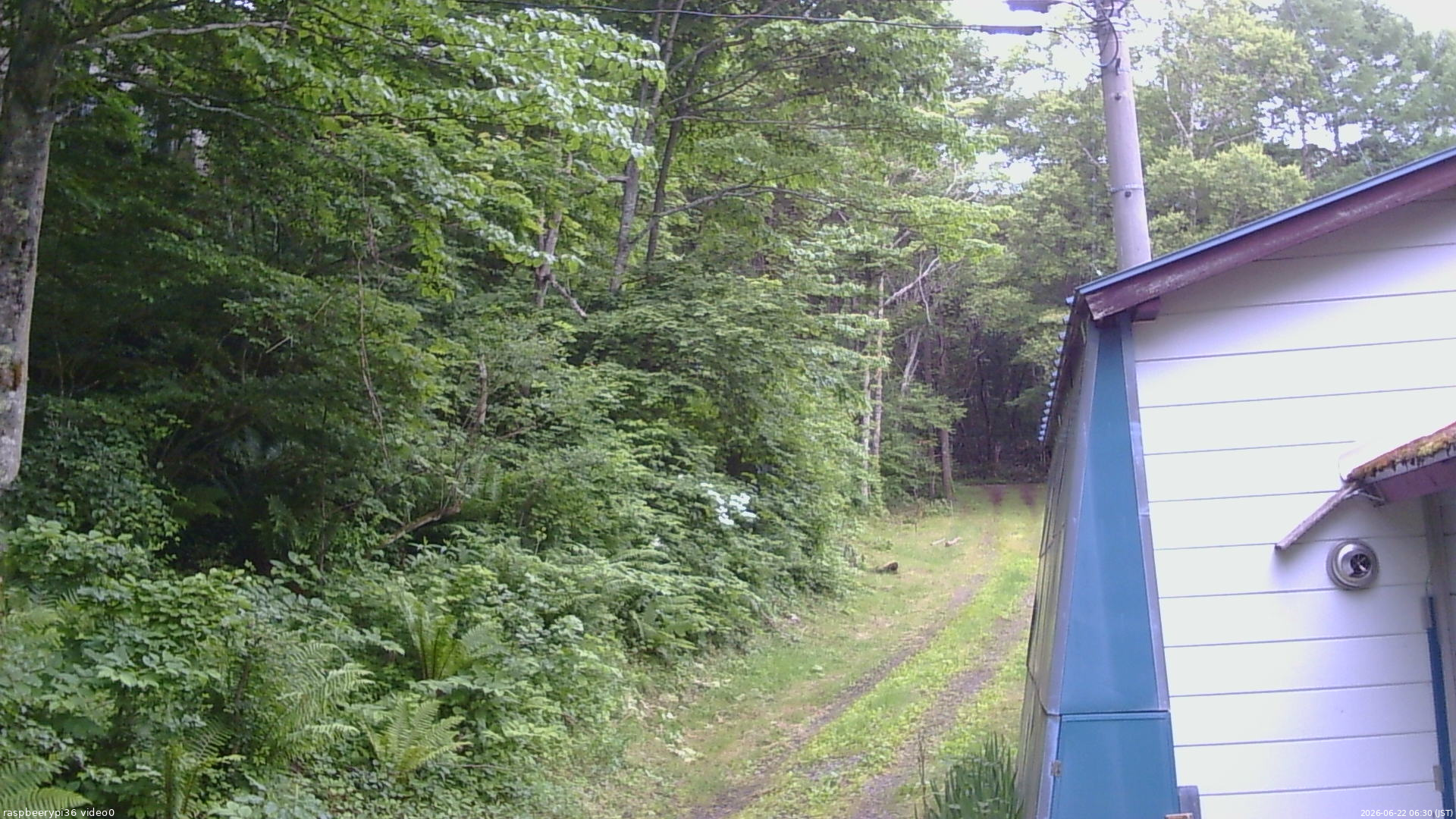 長野県菅平高原 ゆたか山荘 ゆたか山荘 2026/06/22 06:30