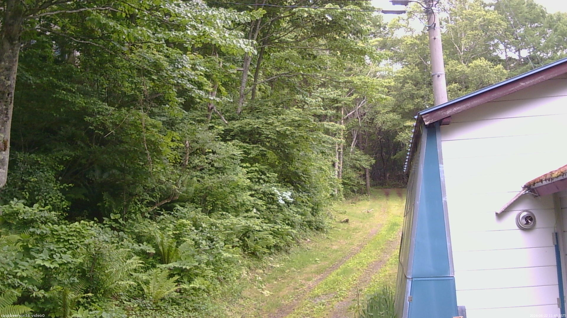 長野県菅平高原 ゆたか山荘 ゆたか山荘 2026/06/22 11:45