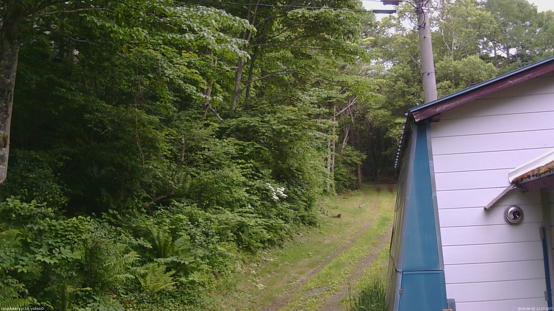 長野県菅平高原 ゆたか山荘 ゆたか山荘 2026/06/22 12:15