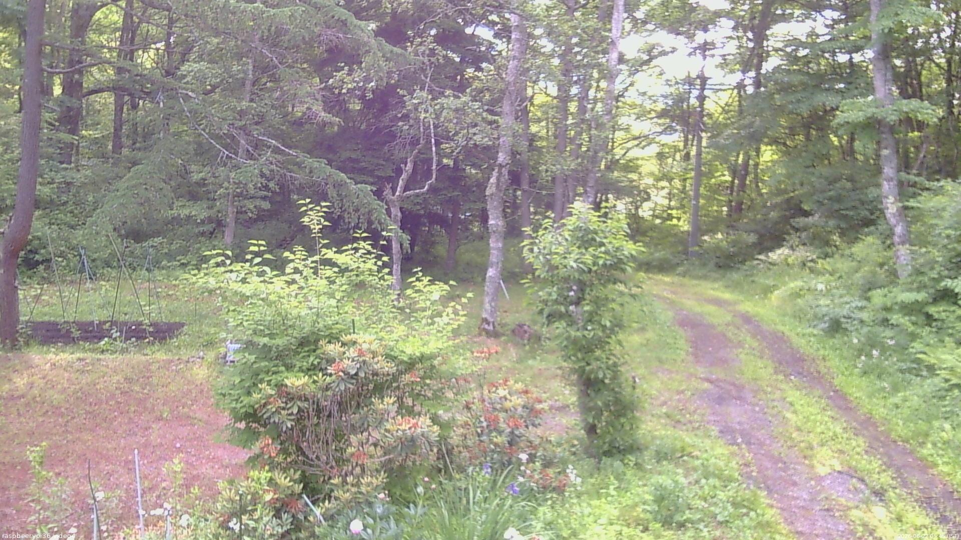 長野県菅平高原 ゆたか山荘 坂上 2026/06/22 05:45