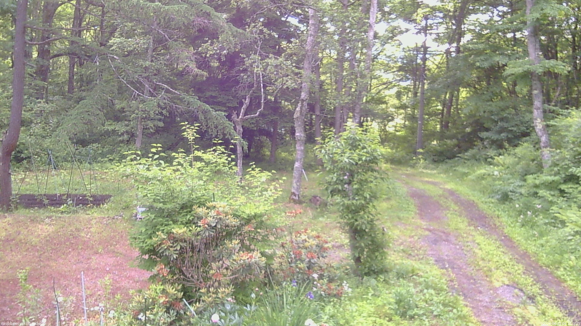 長野県菅平高原 ゆたか山荘 坂上 2026/06/22 06:15