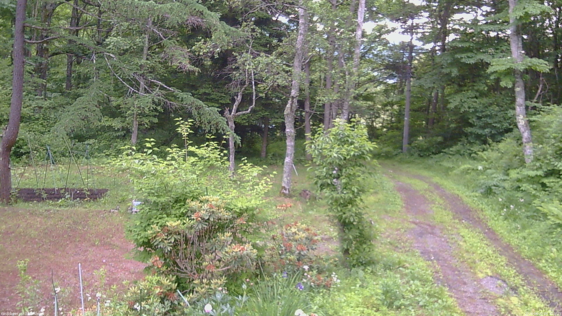 長野県菅平高原 ゆたか山荘 坂上 2026/06/22 06:30
