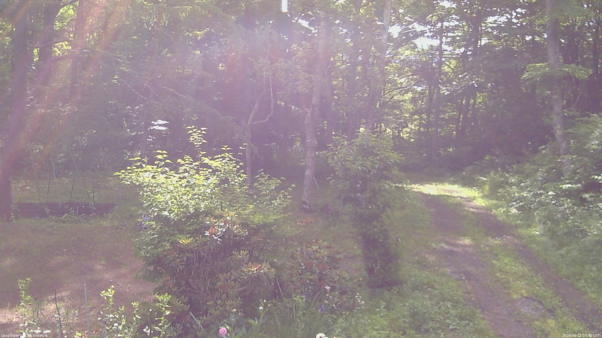 長野県菅平高原 ゆたか山荘 坂上 2026/06/22 07:30