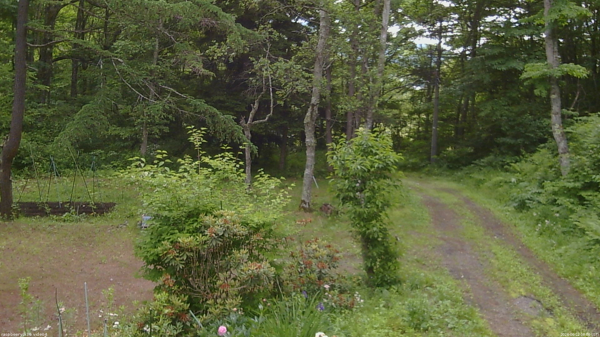 長野県菅平高原 ゆたか山荘 坂上 2026/06/22 08:00
