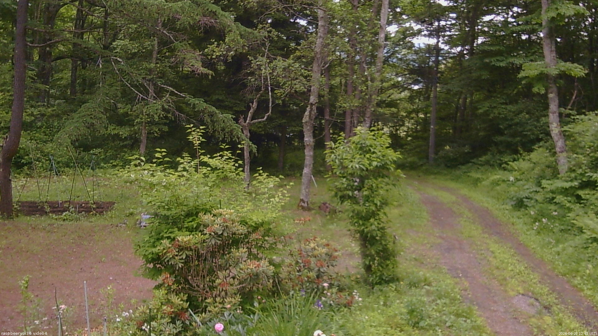 長野県菅平高原 ゆたか山荘 坂上 2026/06/22 12:45
