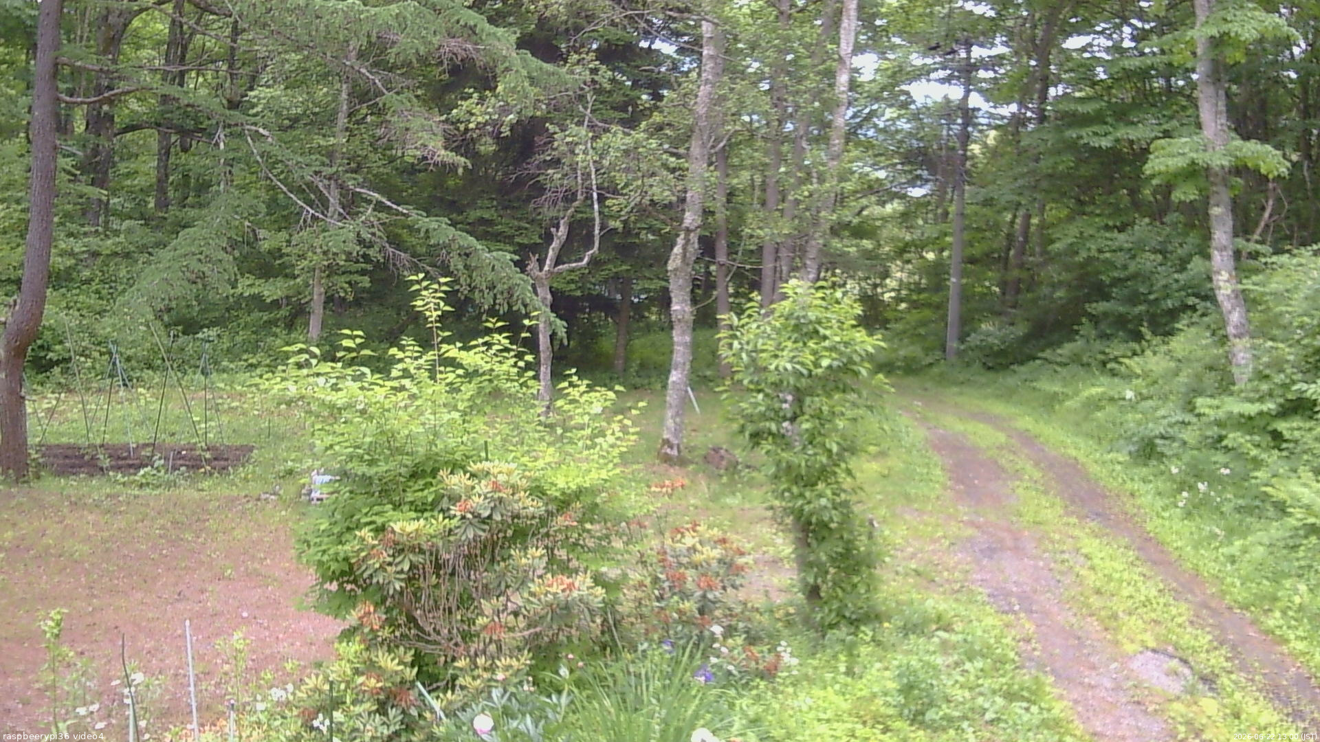 長野県菅平高原 ゆたか山荘 坂上 2026/06/22 13:00