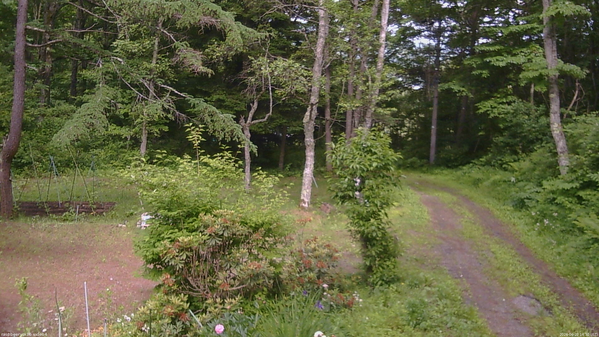 長野県菅平高原 ゆたか山荘 坂上 2026/06/22 14:30
