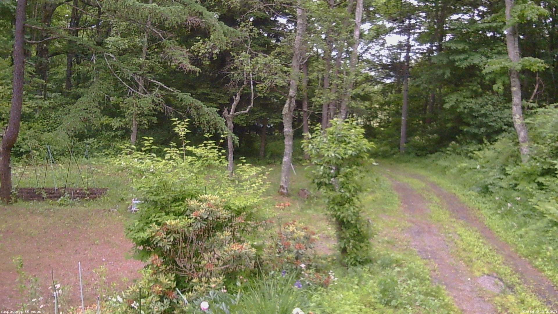長野県菅平高原 ゆたか山荘 坂上 2026/06/22 18:15