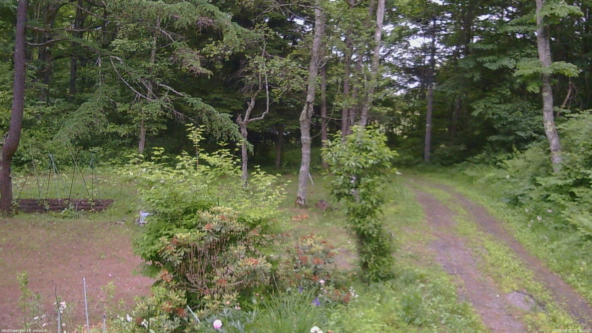 長野県菅平高原 ゆたか山荘 坂上 2026/06/22 18:30