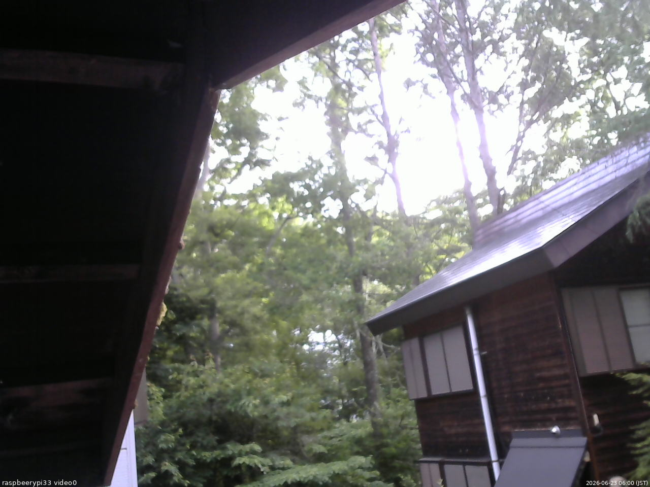 長野県菅平高原 ゆたか山荘 北側 2026/06/23 06:00