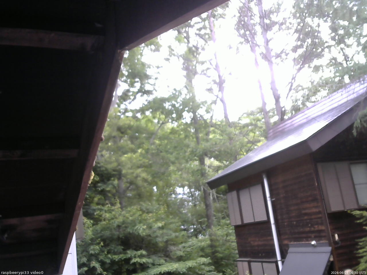 長野県菅平高原 ゆたか山荘 北側 2026/06/23 06:30