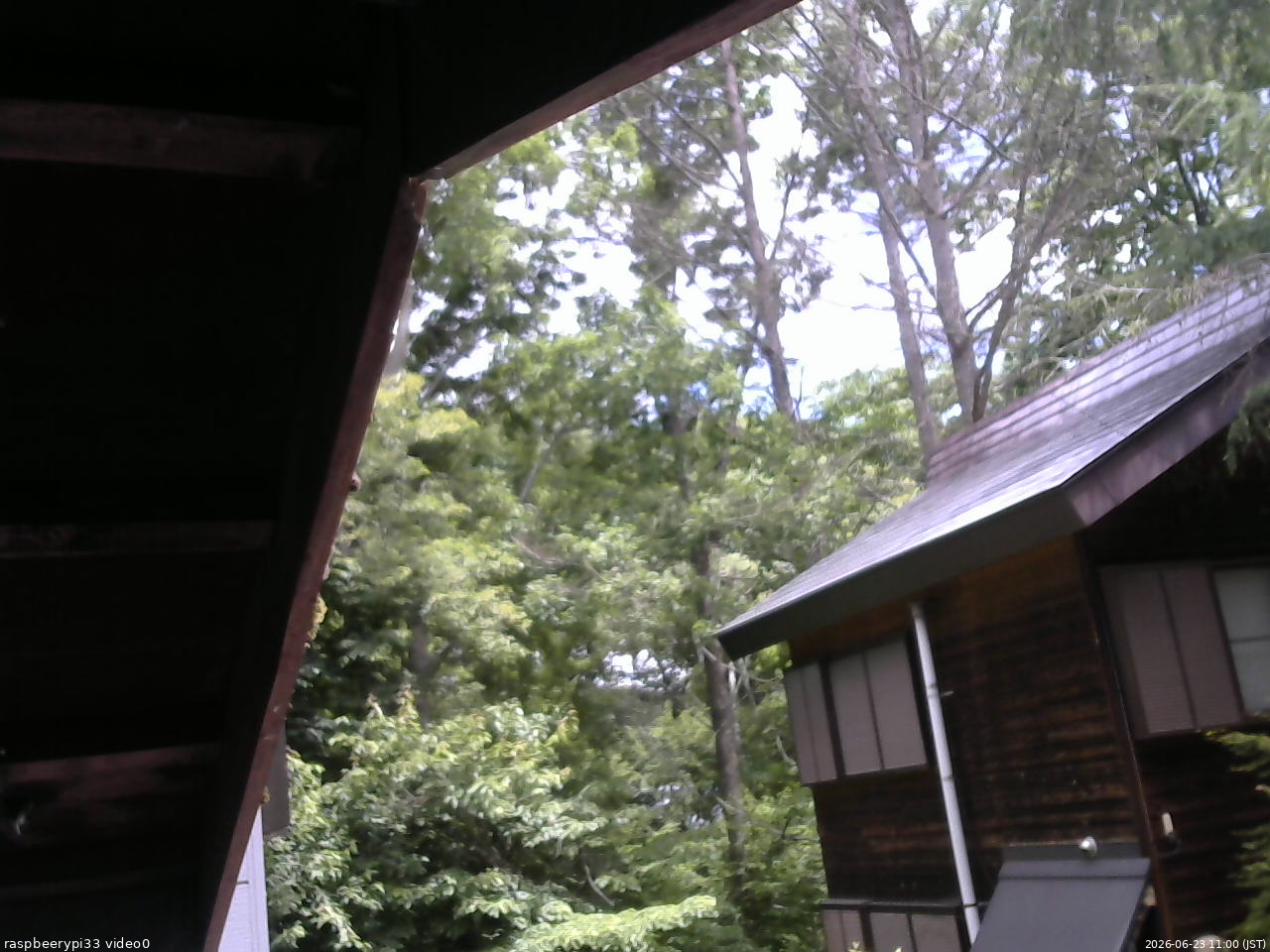 長野県菅平高原 ゆたか山荘 北側 2026/06/23 11:00