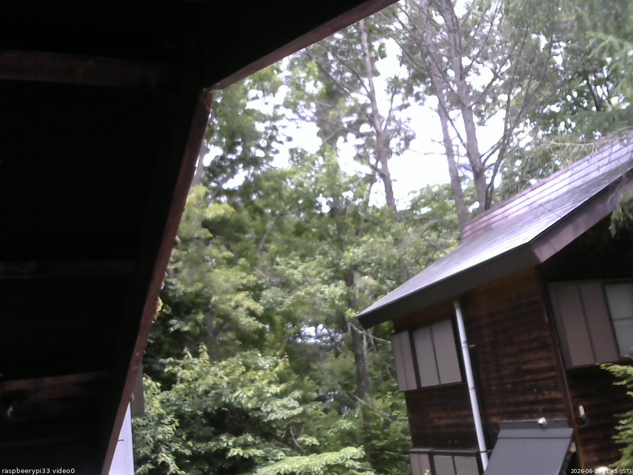 長野県菅平高原 ゆたか山荘 北側 2026/06/23 11:45
