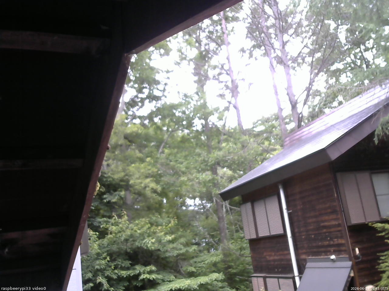 長野県菅平高原 ゆたか山荘 北側 2026/06/23 16:45
