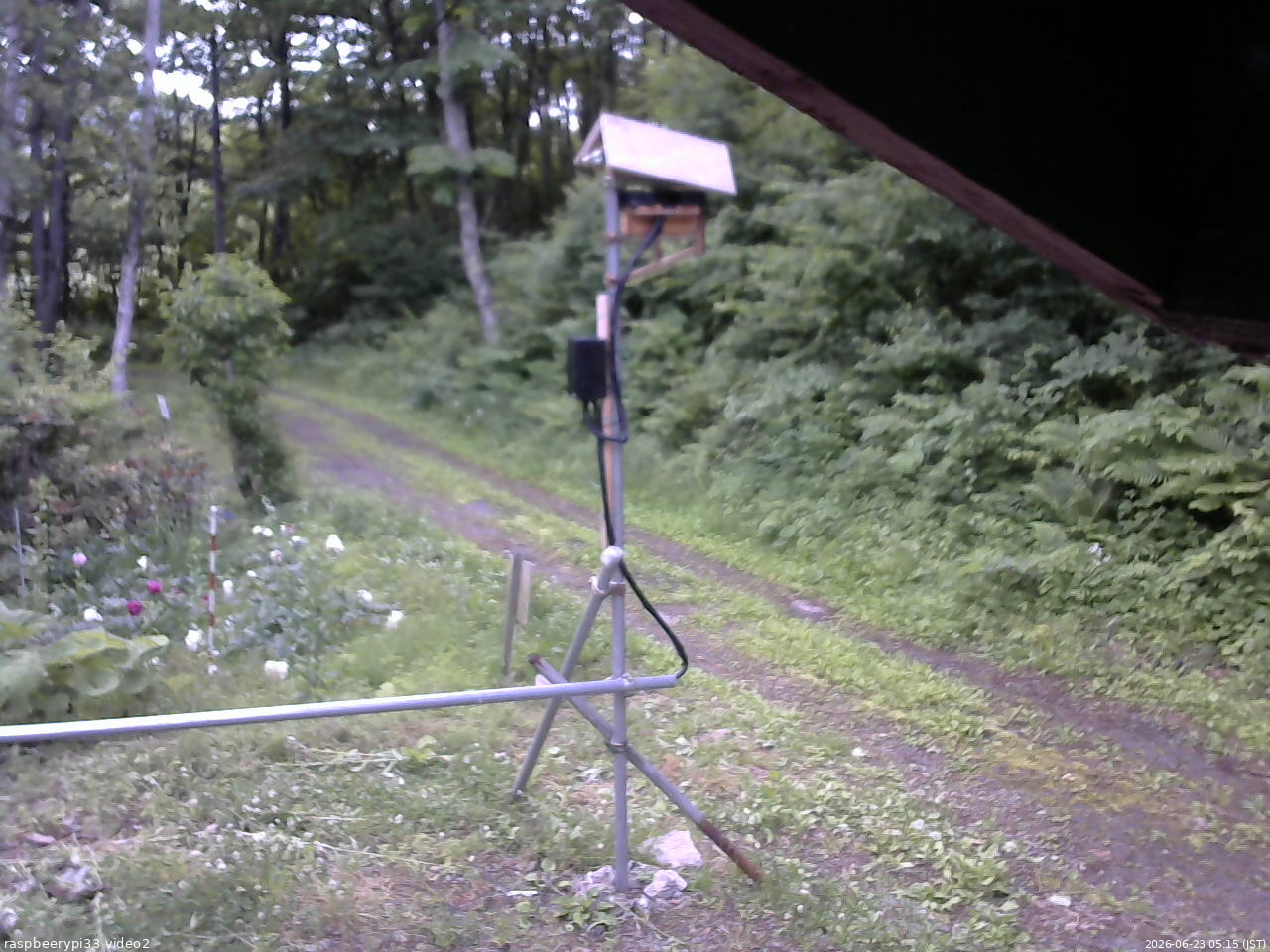 長野県菅平高原 ゆたか山荘 南側 2026/06/23 05:15