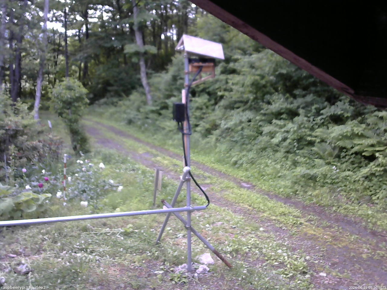 長野県菅平高原 ゆたか山荘 南側 2026/06/23 05:30