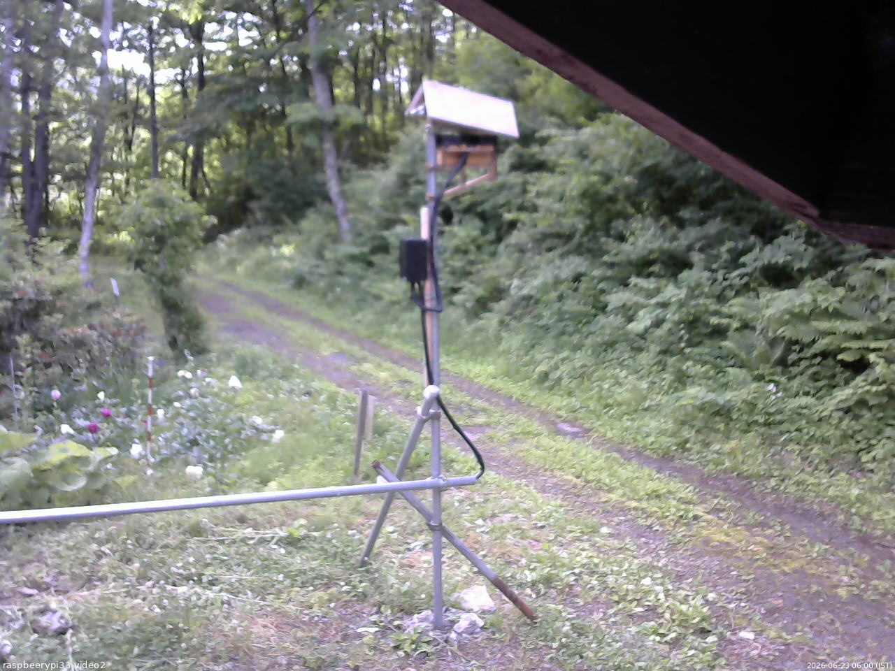 長野県菅平高原 ゆたか山荘 南側 2026/06/23 06:00