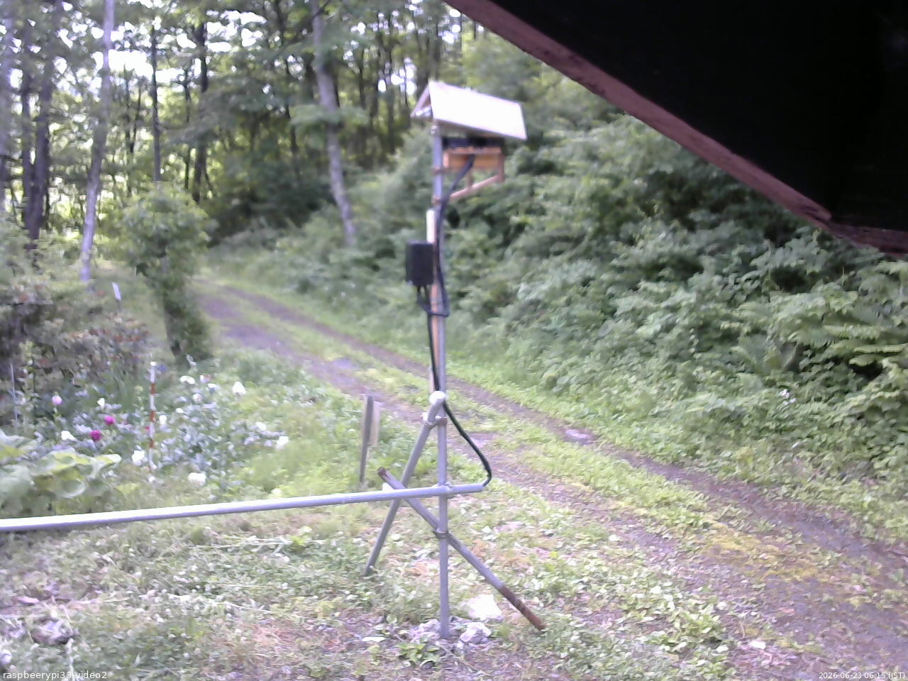 長野県菅平高原 ゆたか山荘 南側 2026/06/23 06:15