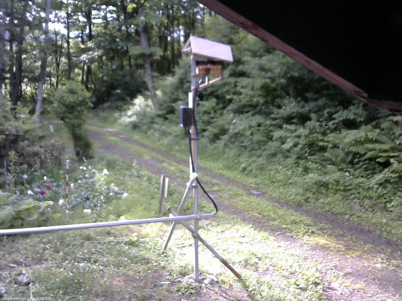 長野県菅平高原 ゆたか山荘 南側 2026/06/23 06:45