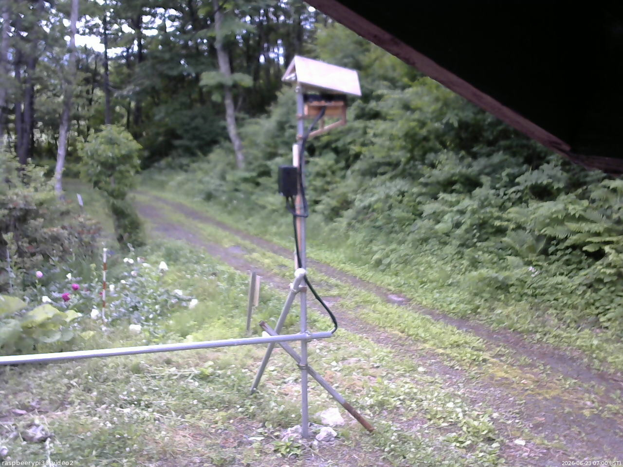 長野県菅平高原 ゆたか山荘 南側 2026/06/23 07:00