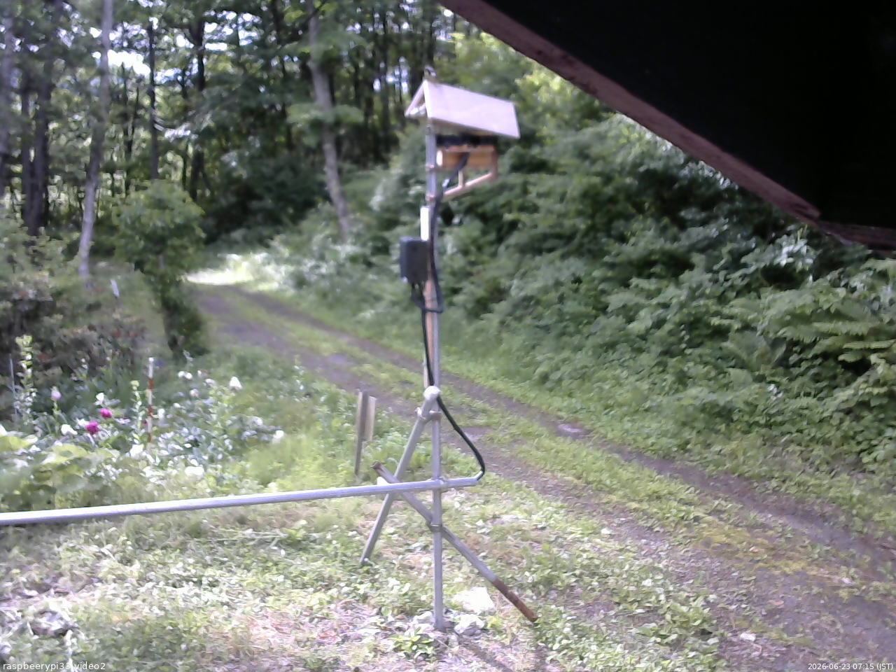 長野県菅平高原 ゆたか山荘 南側 2026/06/23 07:15