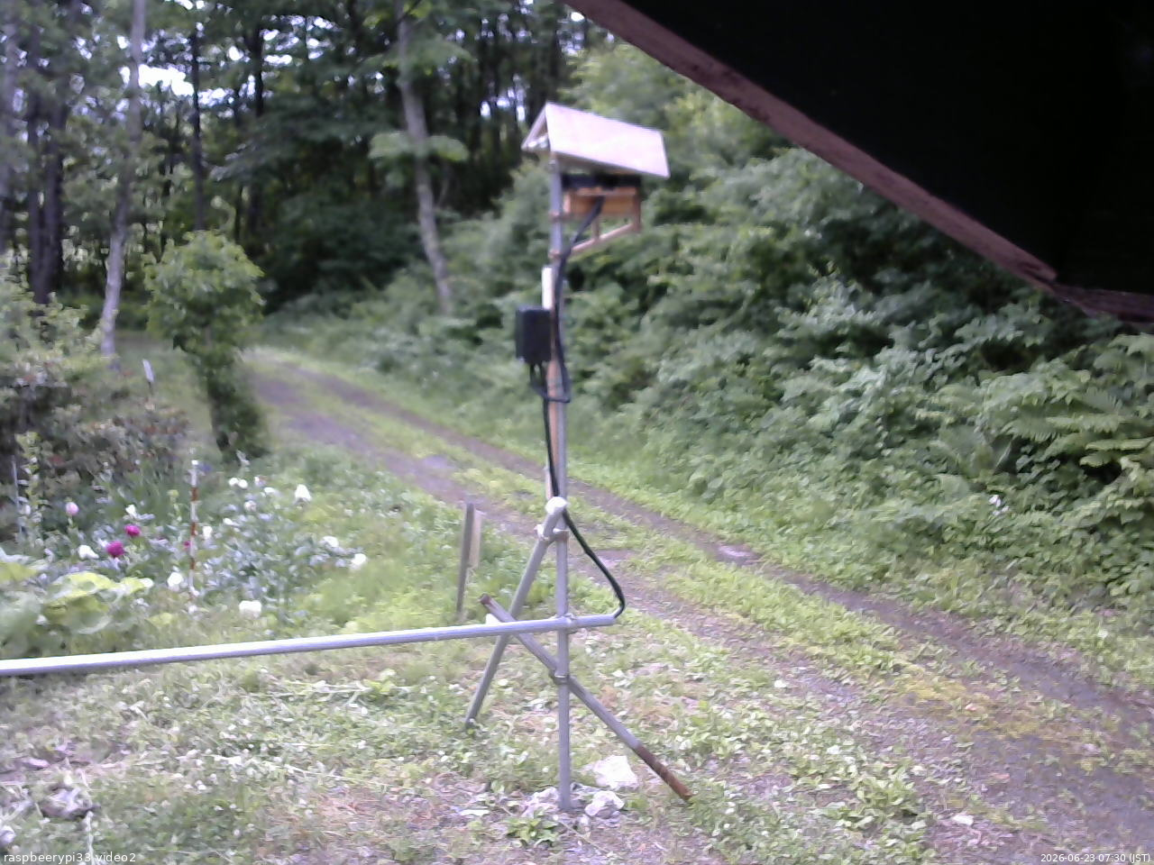 長野県菅平高原 ゆたか山荘 南側 2026/06/23 07:30