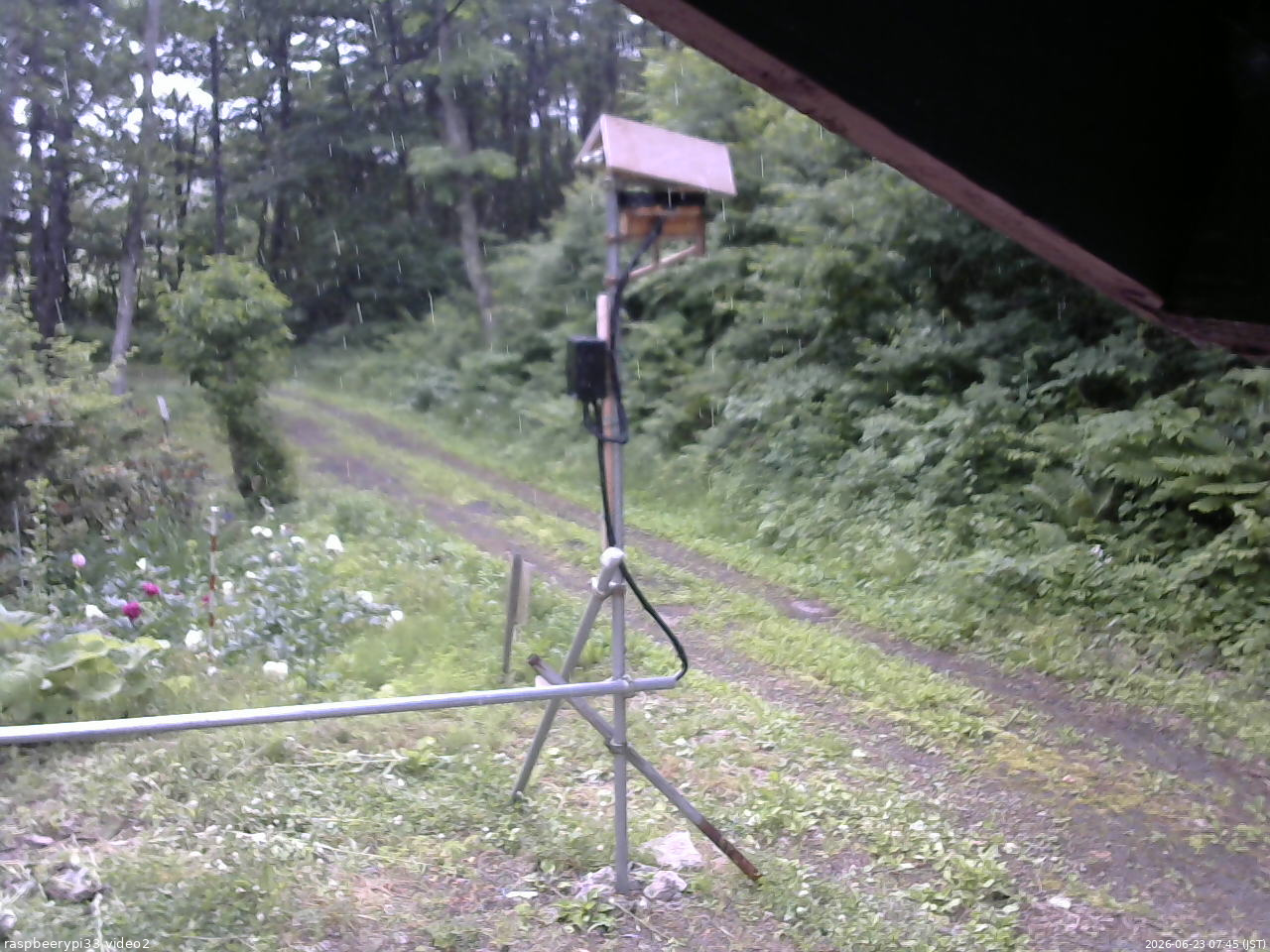 長野県菅平高原 ゆたか山荘 南側 2026/06/23 07:45