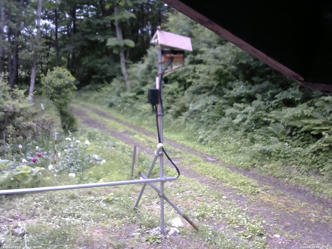 長野県菅平高原 ゆたか山荘 南側 2026/06/23 08:00
