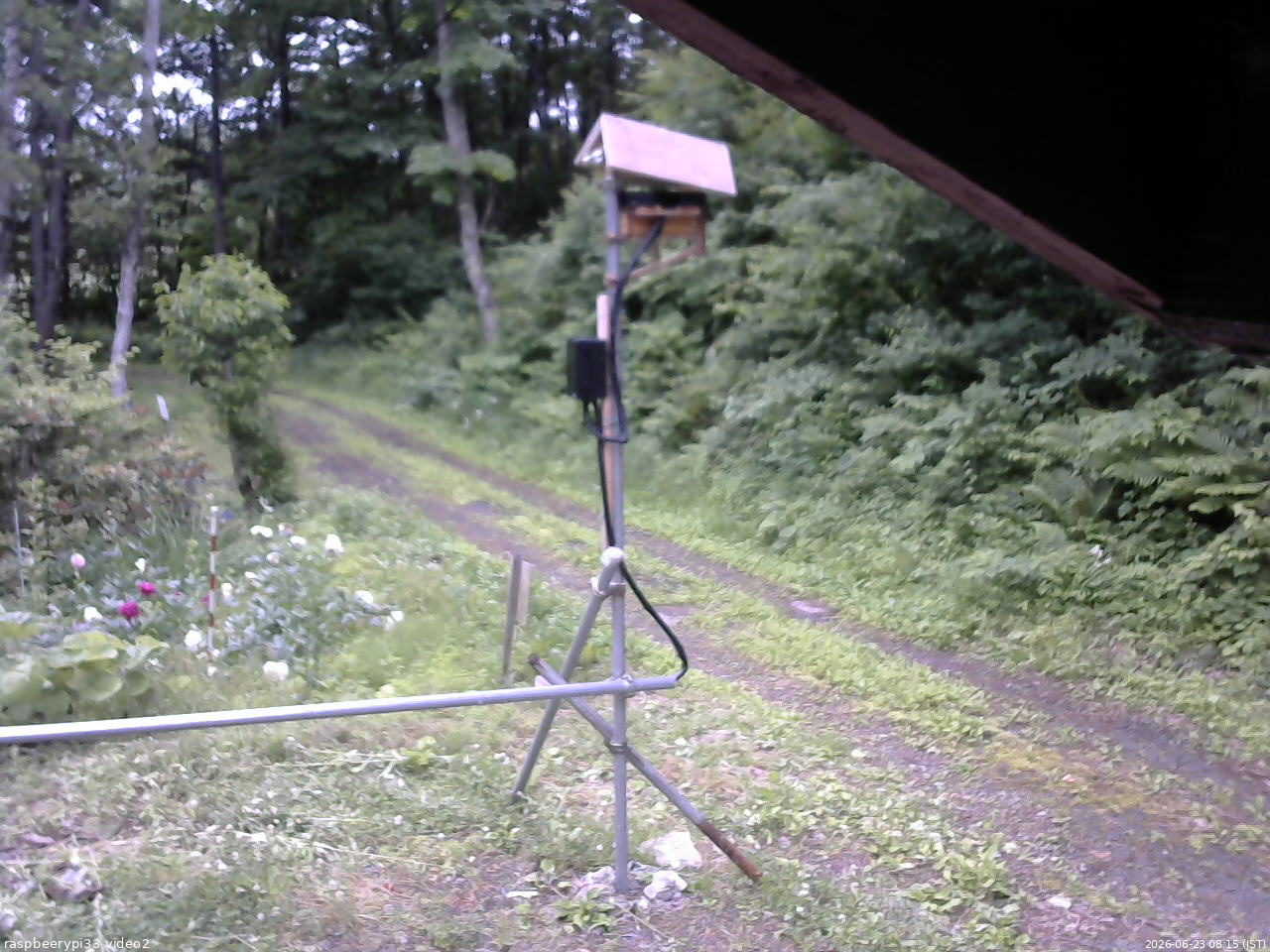長野県菅平高原 ゆたか山荘 南側 2026/06/23 08:15