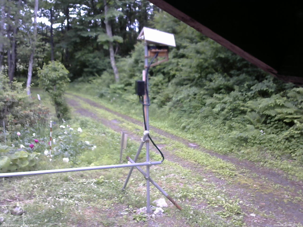長野県菅平高原 ゆたか山荘 南側 2026/06/23 08:30