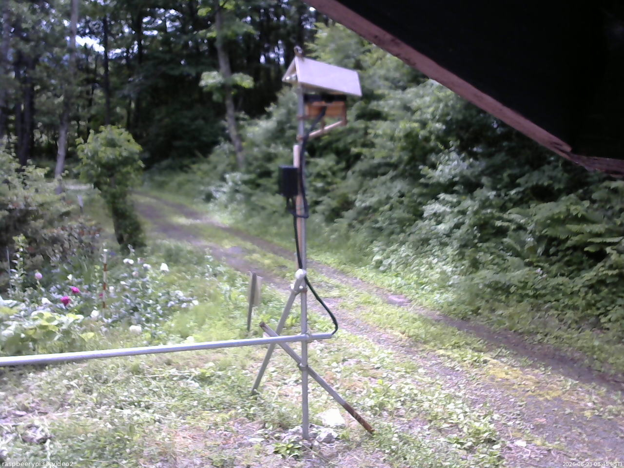 長野県菅平高原 ゆたか山荘 南側 2026/06/23 08:45