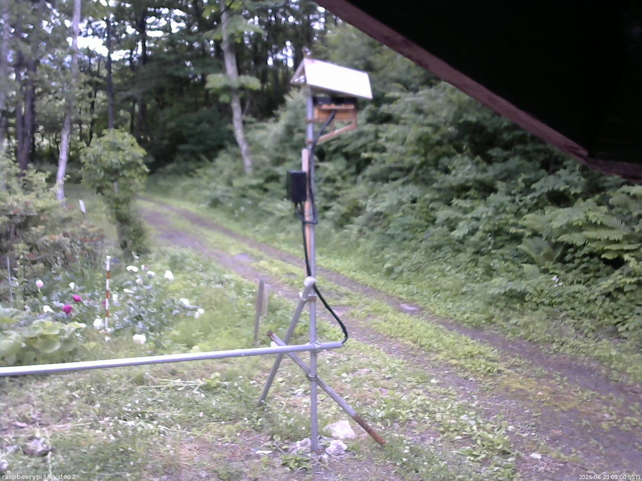 長野県菅平高原 ゆたか山荘 南側 2026/06/23 09:00