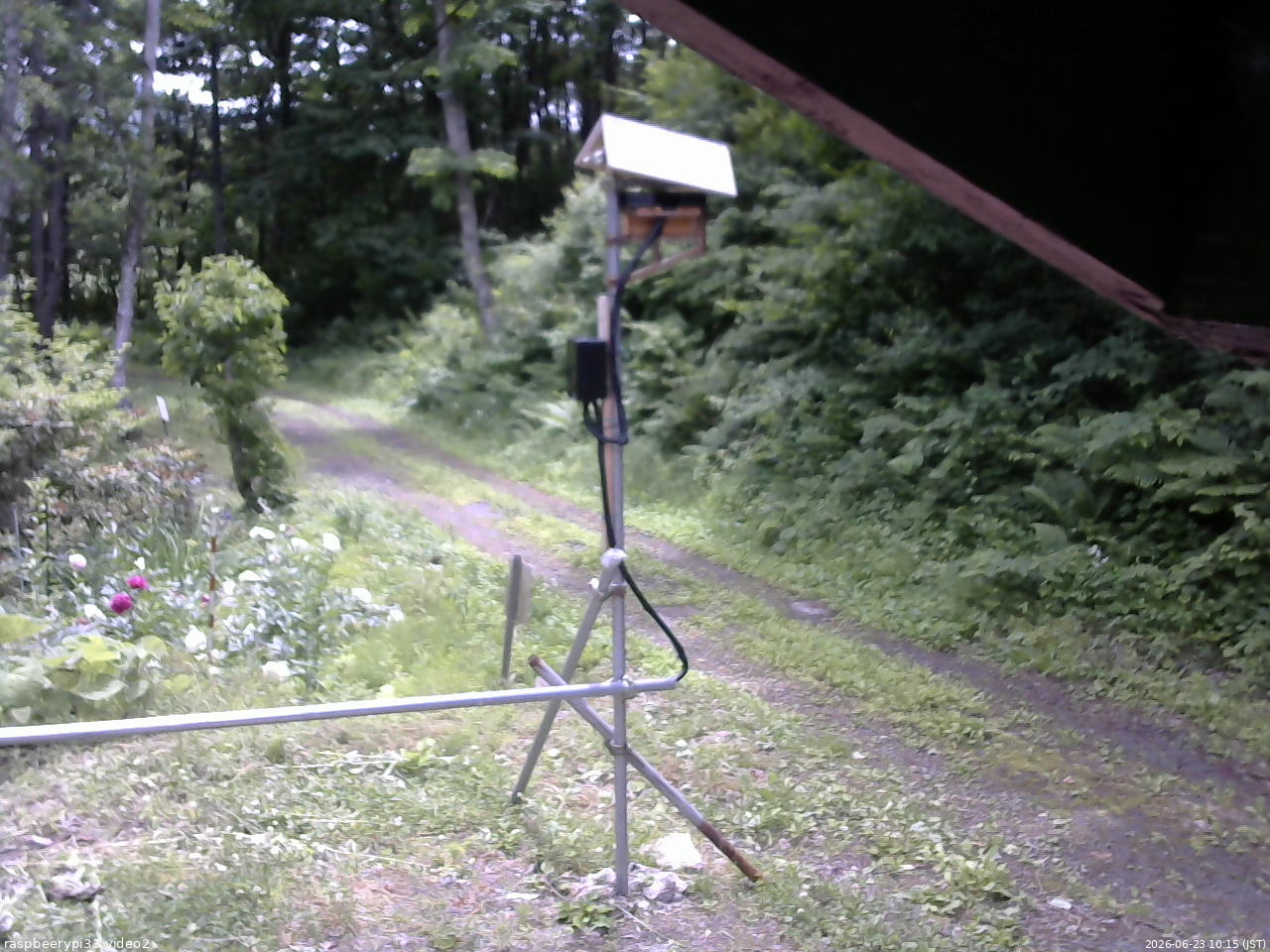 長野県菅平高原 ゆたか山荘 南側 2026/06/23 10:15