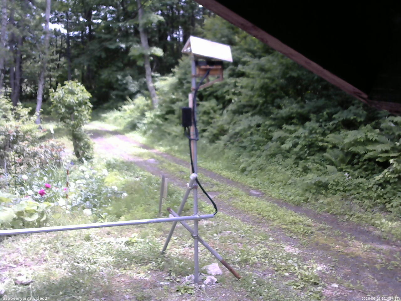 長野県菅平高原 ゆたか山荘 南側 2026/06/23 11:45