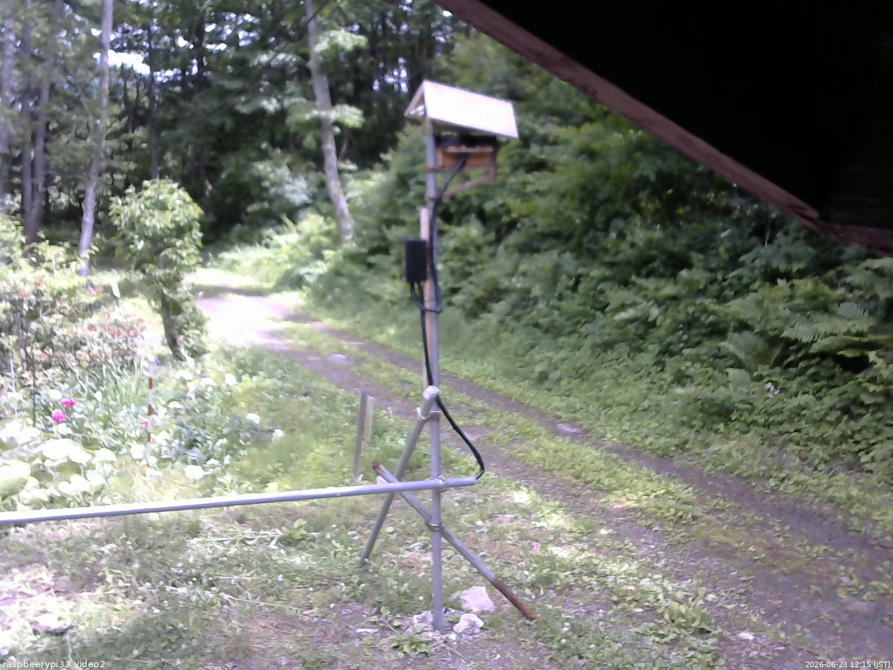 長野県菅平高原 ゆたか山荘 南側 2026/06/23 12:15
